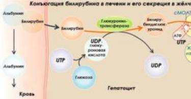 Появление желчных пигментов в моче: норма или патология